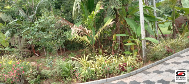 4 BHK house for sale in Wadakkanchery, Thrissur