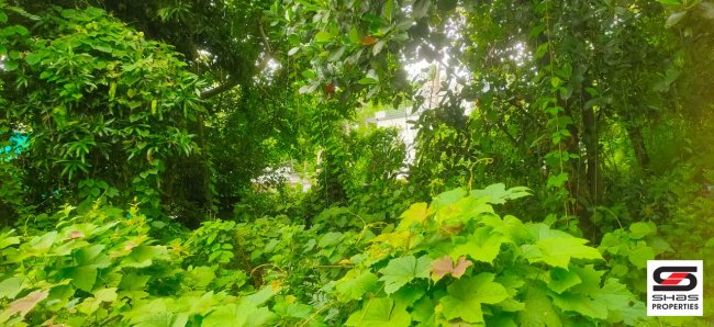 House plot for sale in Railway Colony, Palakkad