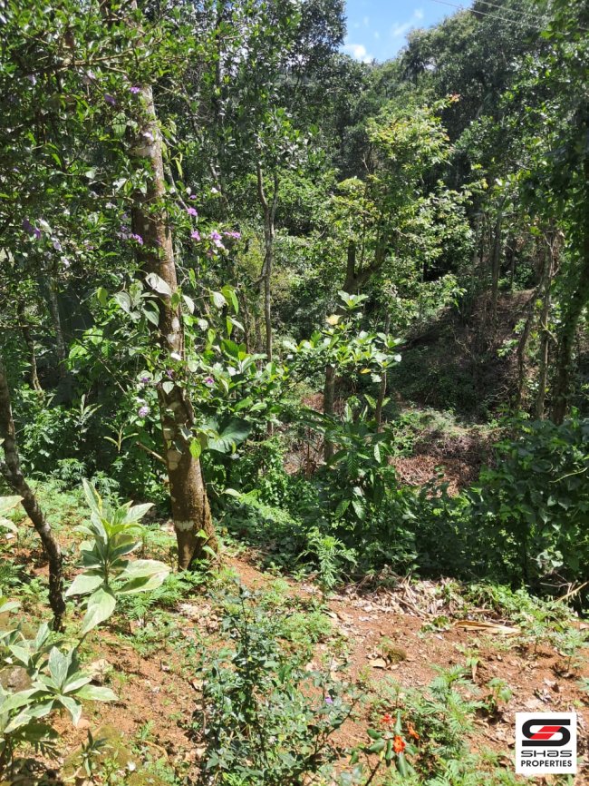 Resort land with house  for sale at Mangathotty, Idukki