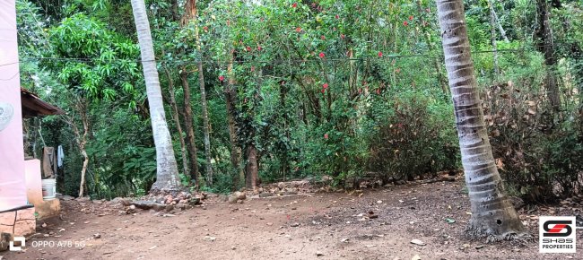 Rubber estate for sale near Peechi Dam, Thrissur