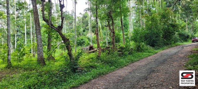 Land for sale near Kenichira, Wayanad