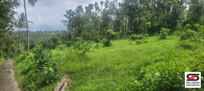 Residential plot in Meenangadi, Wayanad for sale