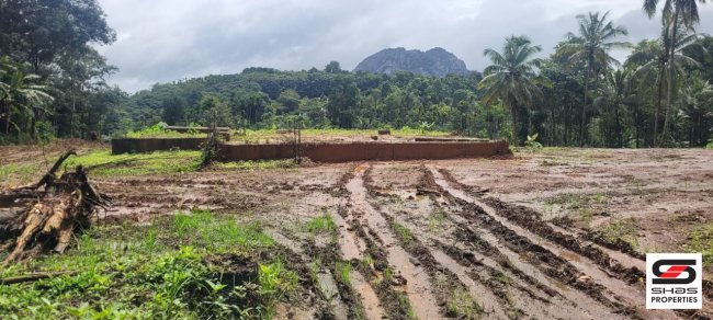 Land for sale in Meenangadi, Wayanad