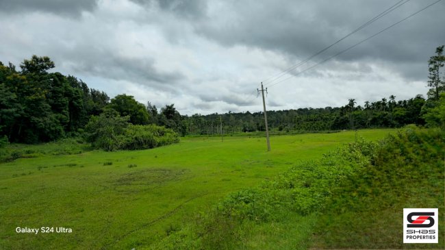 Land for sale in Coorg, Karnataka