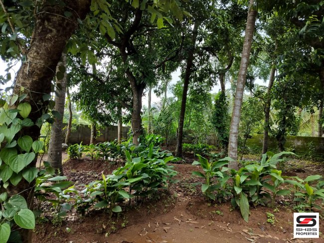 House plot for sale in Olavakkode, Palakkad