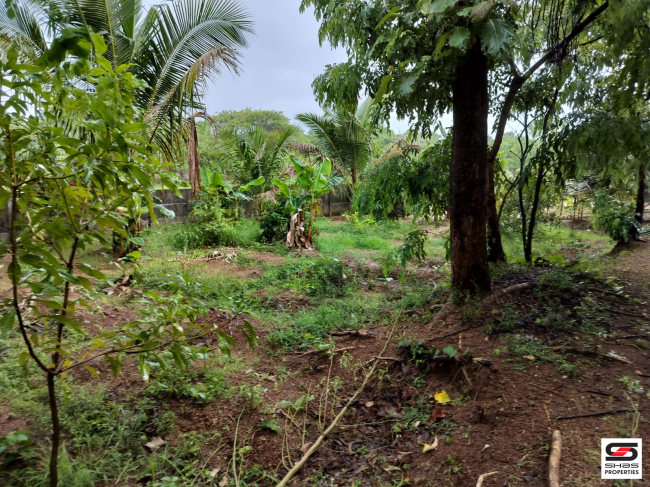 Land for sale in Olavakkode, Palakkad