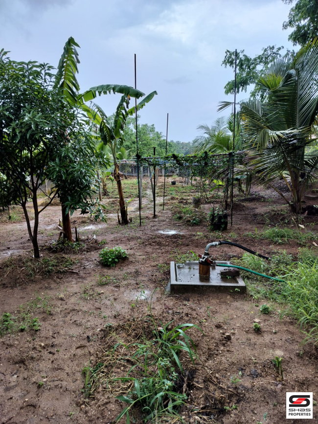 Land for sale in Olavakkode, Palakkad