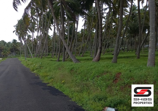 Coconut farmland for sale in Pollachi, Coimbatore