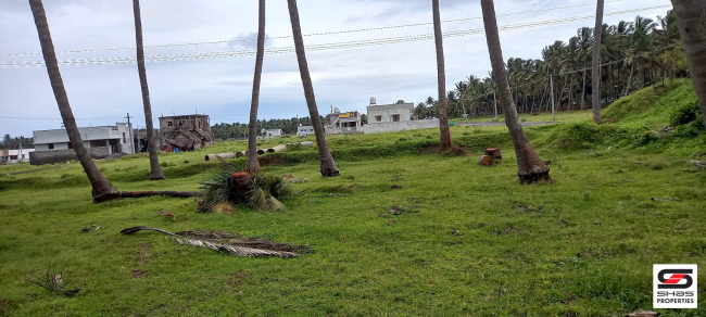 Coconut farmland for sale in Pollachi, Coimbatore