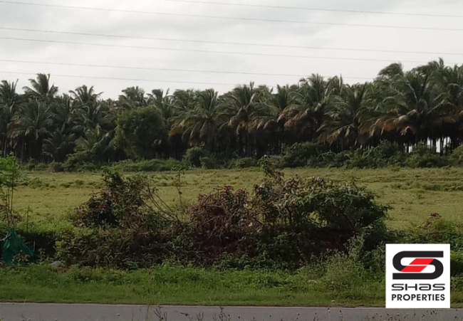 Farmland for sale in Pollachi, Coimbatore