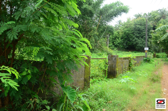 House plot for sale In Parali, Palakkad