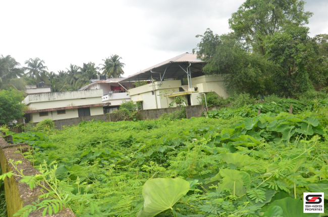 House plot for sale In Parali, Palakkad