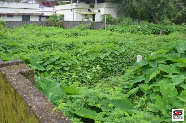 House plot for sale In Parali, Palakkad