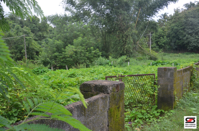 House plot for sale In Parali, Palakkad