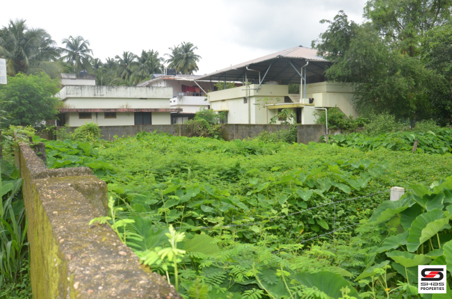 House plot for sale In Parali, Palakkad