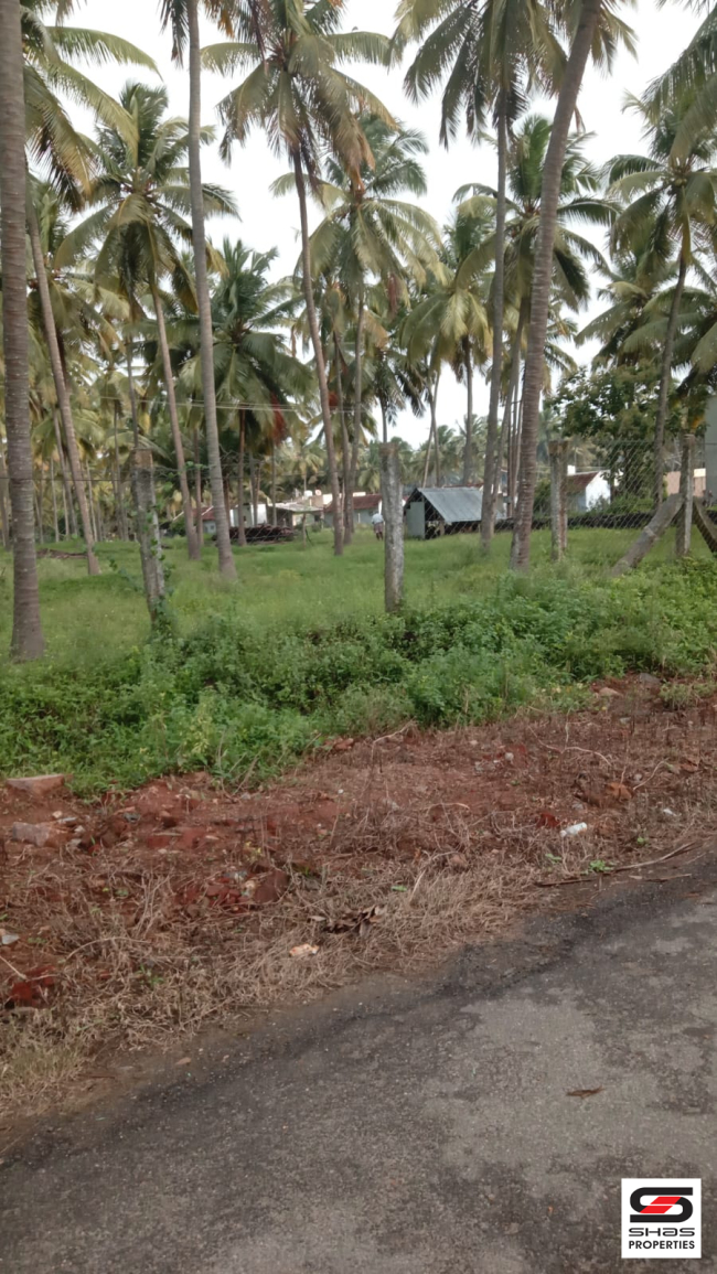 5 Acre farmland for sale in Pollachi, Coimbatore