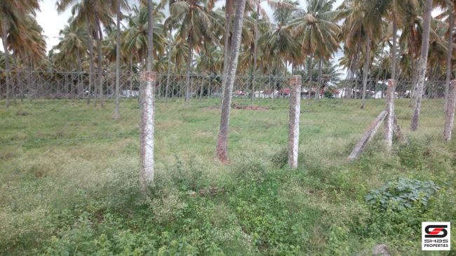 5 Acre farmland for sale in Pollachi, Coimbatore