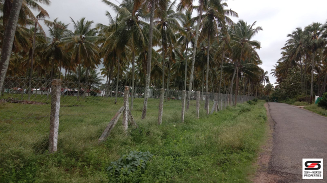 5 Acre farmland for sale in Pollachi, Coimbatore