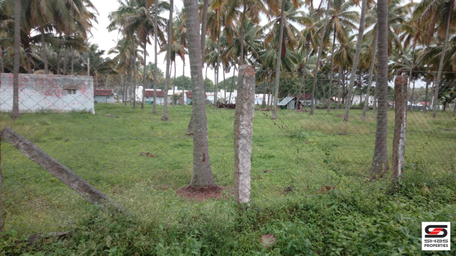 5 Acre farmland for sale in Pollachi, Coimbatore