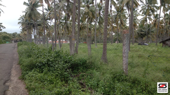 5 Acre farmland for sale in Pollachi, Coimbatore