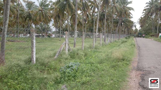 5 Acre farmland for sale in Pollachi, Coimbatore