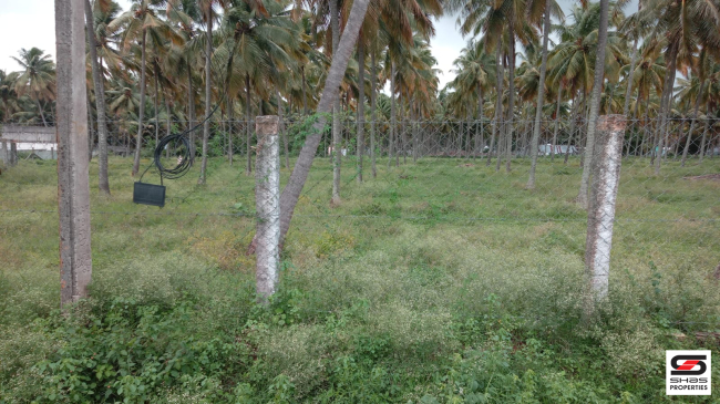 5 Acre farmland for sale in Pollachi, Coimbatore