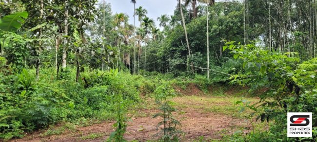 Land for sale in Kenichira, Wayanad