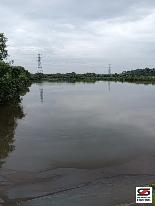 Fish farm for sale in Kodungallur, Thrissur