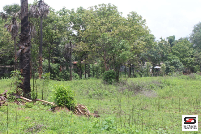 Land for sale near Walayar, Palakkad