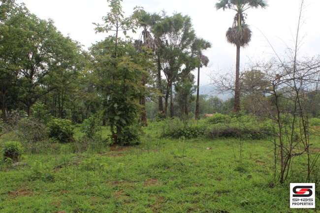 Land for sale near Walayar, Palakkad