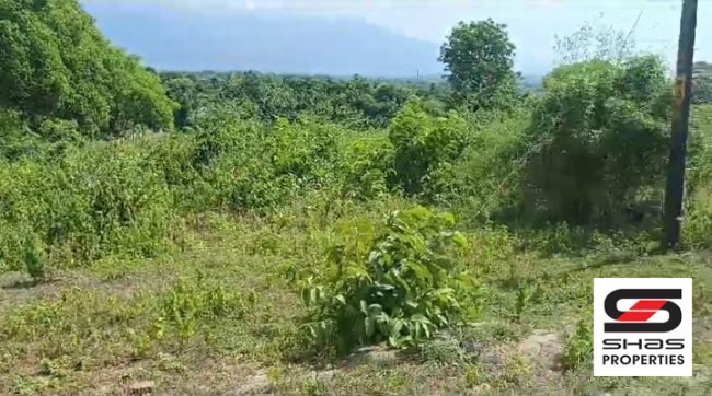 Affordable land for sale in Elappully, Palakkad 