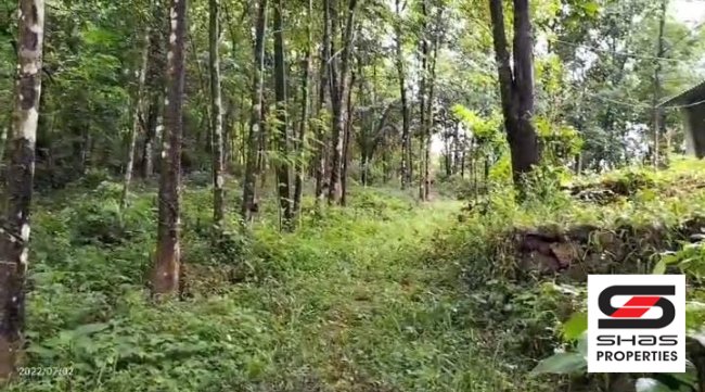 Resort land for sale in Moolamattom, Idukki