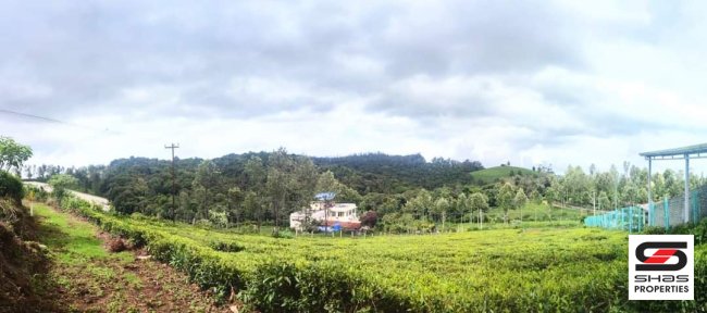 Land for sale near Kotagiri, Tamil Nadu