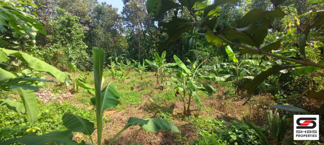 Residential land for sale in Karukachal, Kottayam