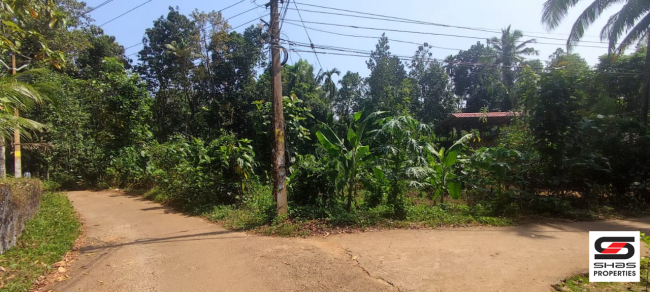 Residential land for sale in Karukachal, Kottayam