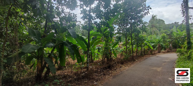 Residential land for sale in Karukachal, Kottayam