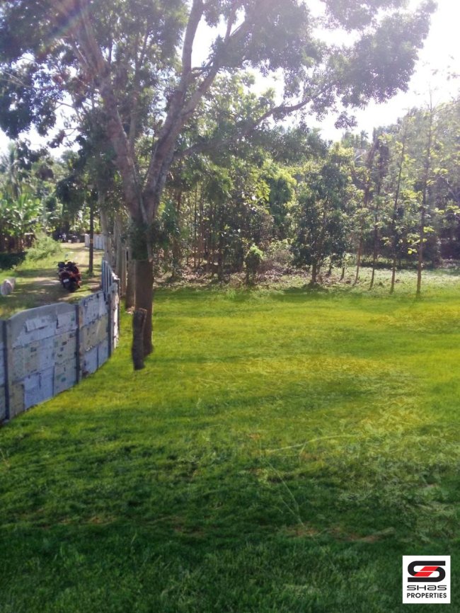 House plot for sale in Shoranur, Palakkad