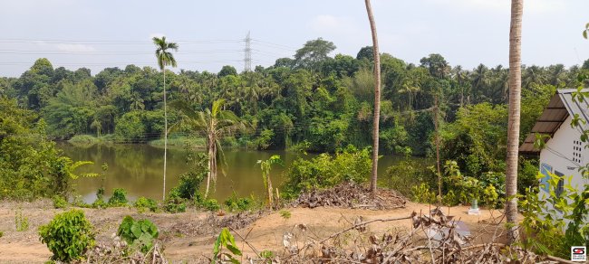 Residential land for sale in Pattambi, Palakkad