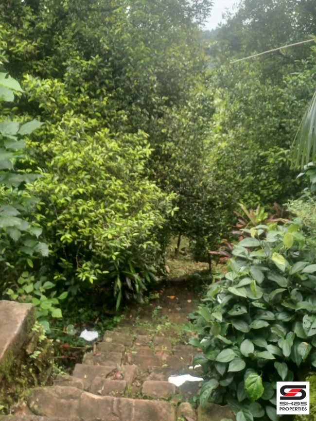 Land for sale near Cheruthoni, Idukki