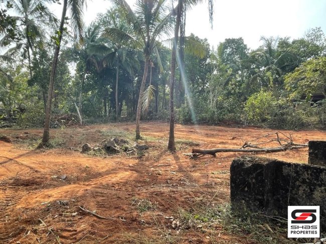 House plot for sale in Pattambi, Palakkad
