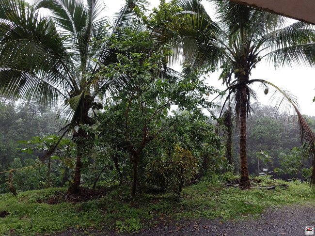 Land for sale in Vellarikkund, Kasaragod