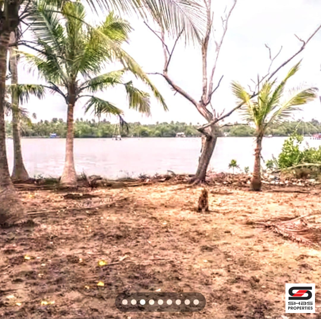 Resort land with old house for sale in Kumbalangi, Kochi