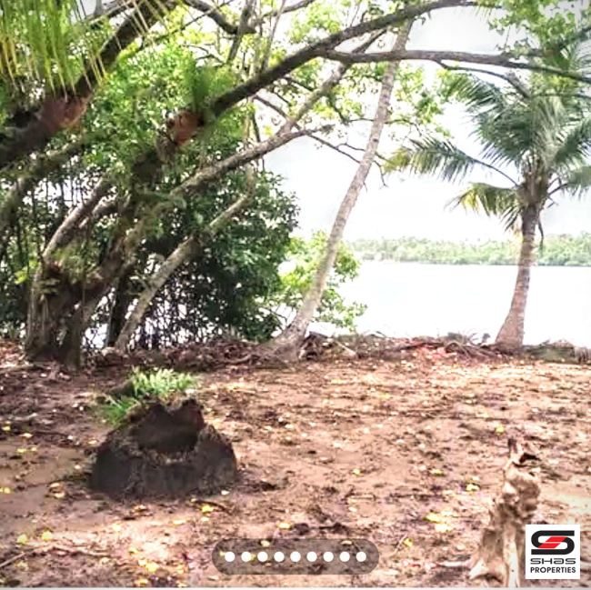 Resort land with old house for sale in Kumbalangi, Kochi