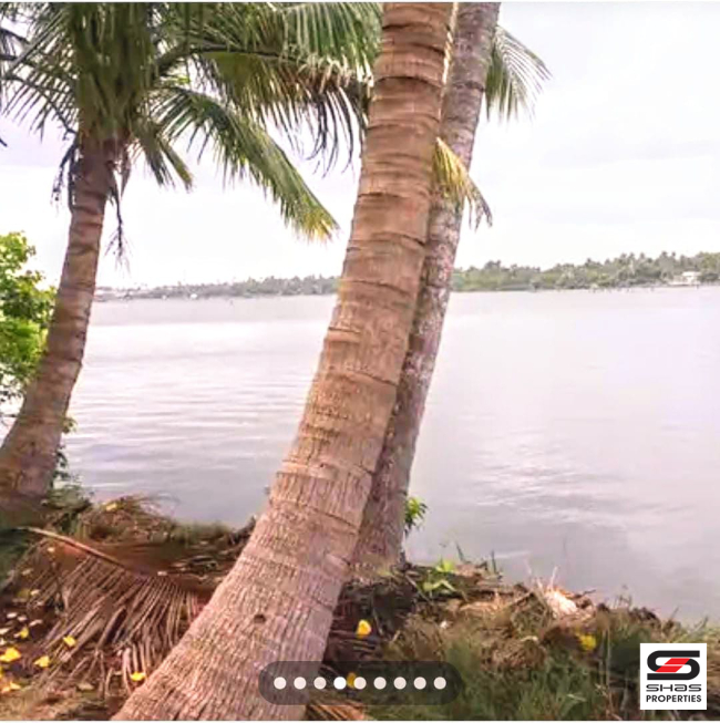 Resort land with old house for sale in Kumbalangi, Kochi