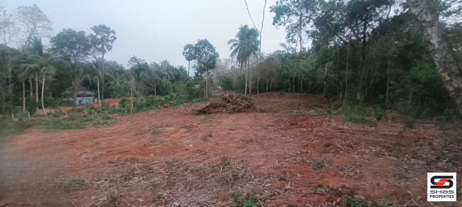 House plot for sale in Ambalapara, Palakkad