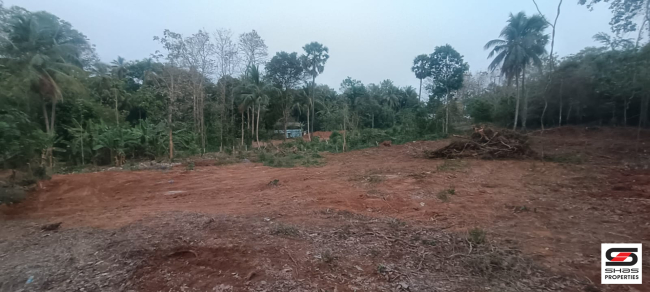 House plot for sale in Ambalapara, Palakkad