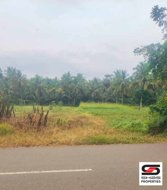 House plots for sale in 4th mile, Palakkad