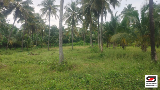 House plots for sale in 4th mile, Palakkad