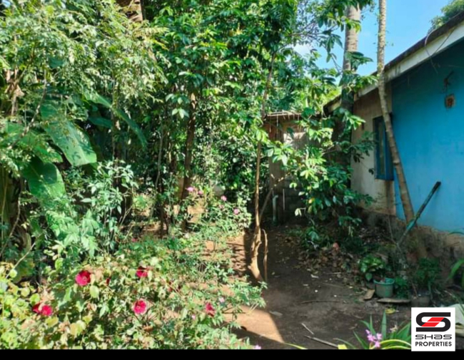 Land with house for sale in Vadookkara, Thrissur