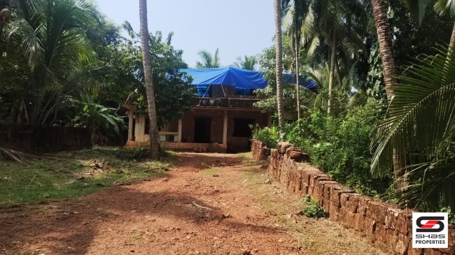 Land with house for sale in Pachappalam, Kozhikode